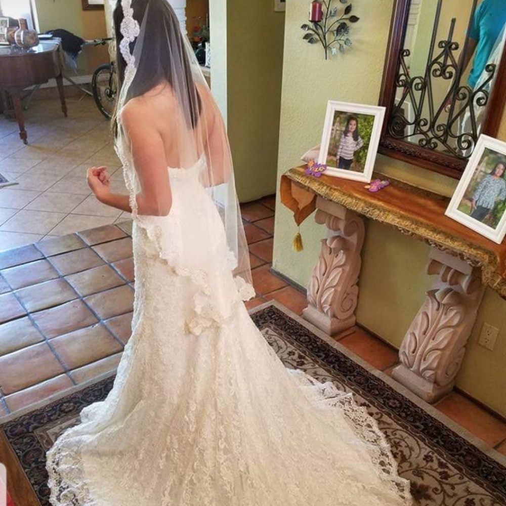 Monique Luo Wedding dress with veil